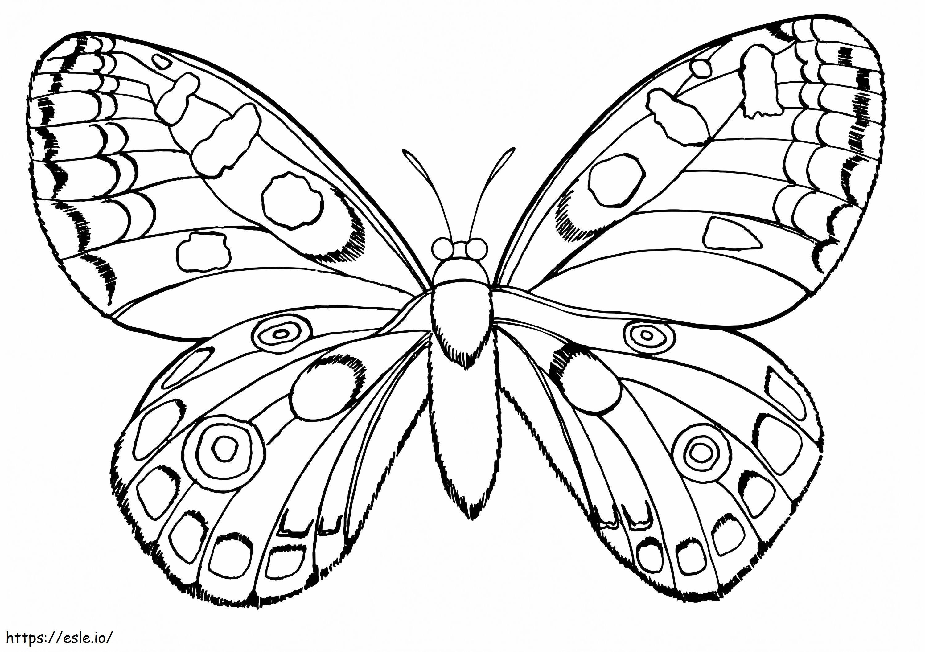 Coloriage Papillon Normal 1024X722 à imprimer dessin
