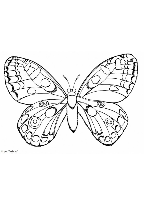 Coloriage Papillon Normal 1024X722 à imprimer dessin