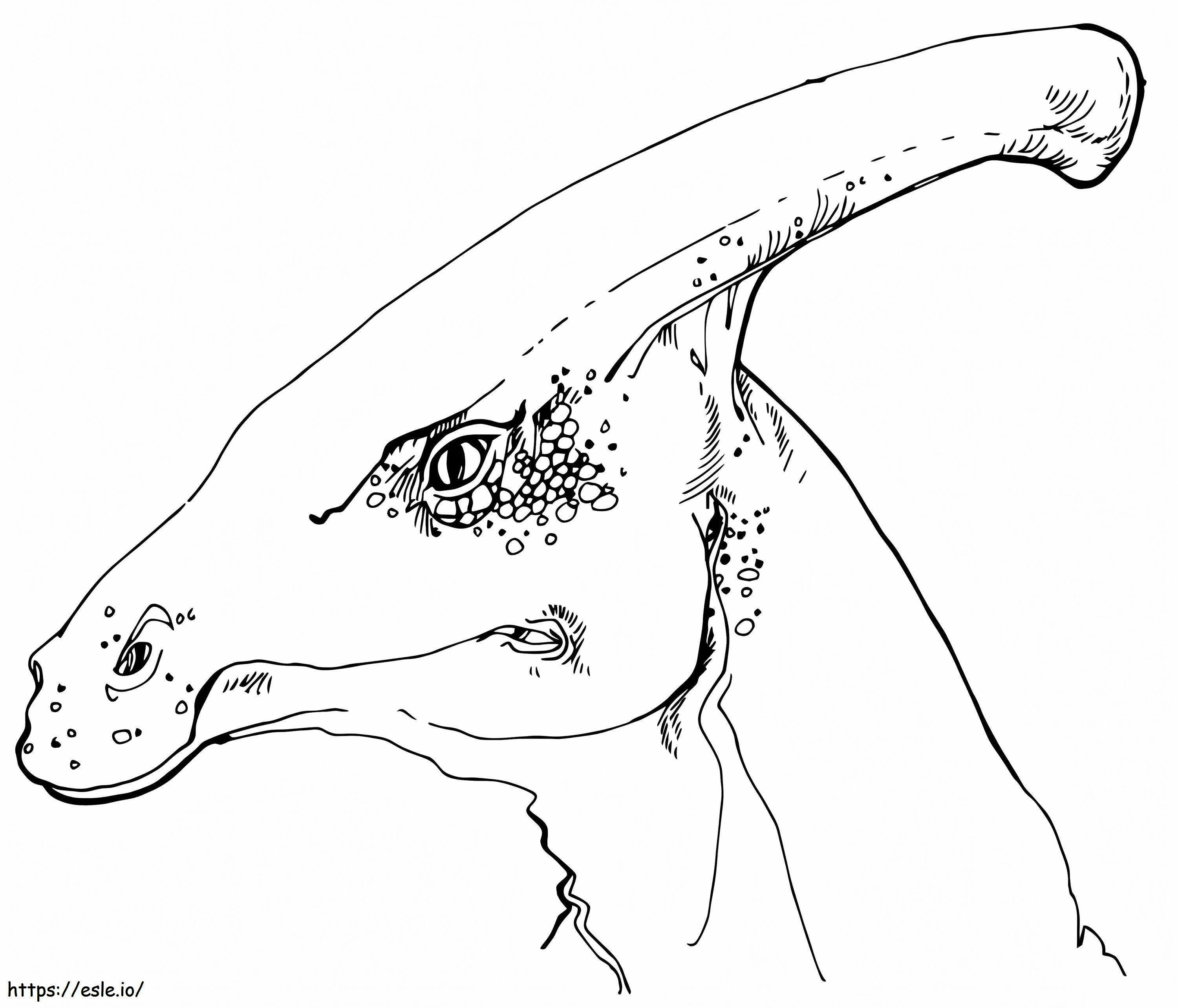 Głowa Parazaurolofa kolorowanka