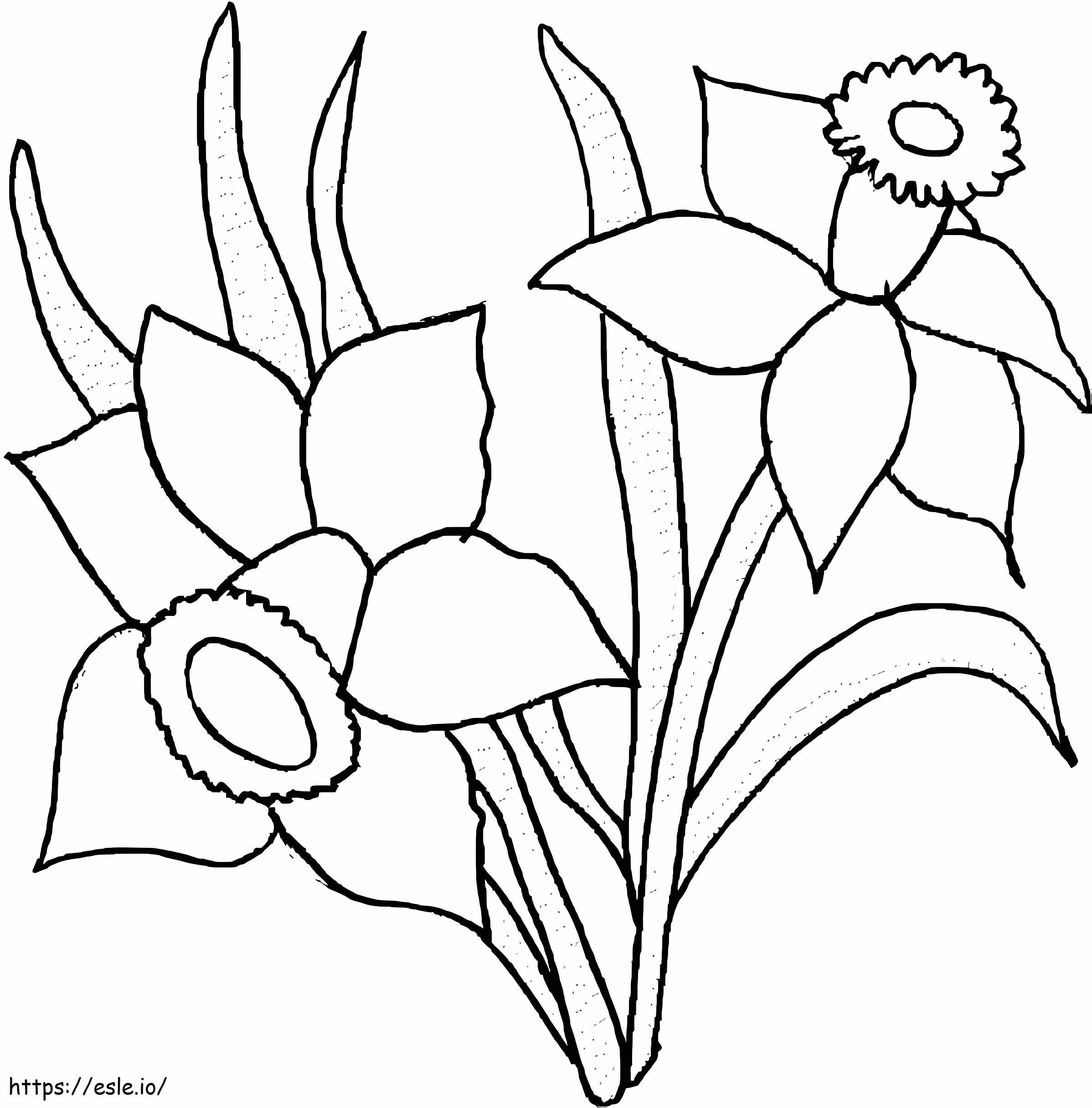 Of The Impressive Daffodils coloring page