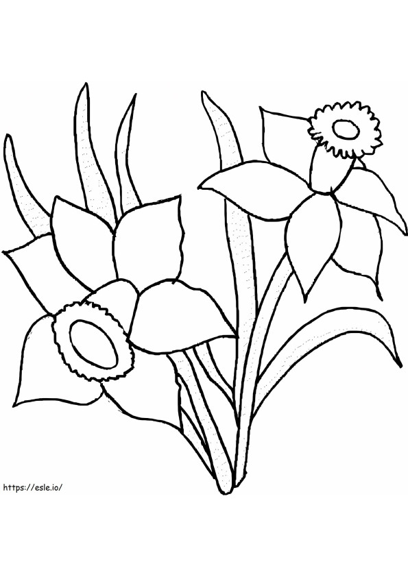 Of The Impressive Daffodils coloring page