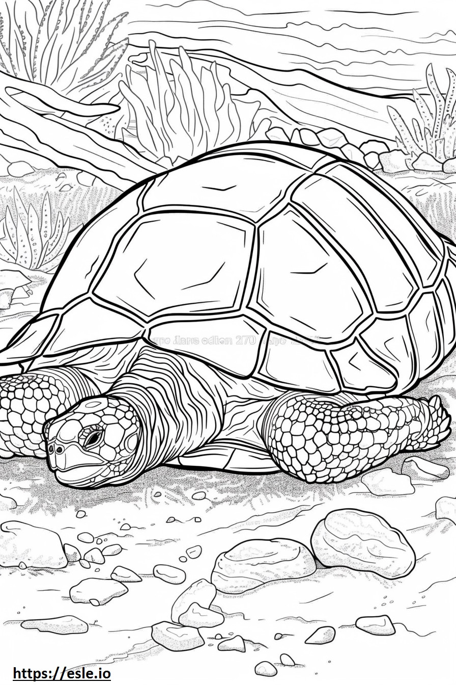 Sulcata-schildpad slaapt kleurplaat kleurplaat