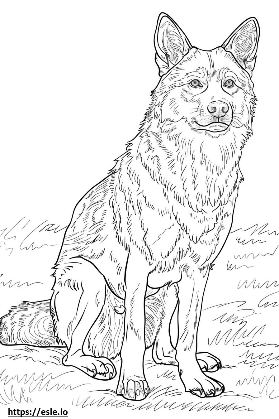 Perro lobo checoslovaco de cuerpo completo para colorear e imprimir