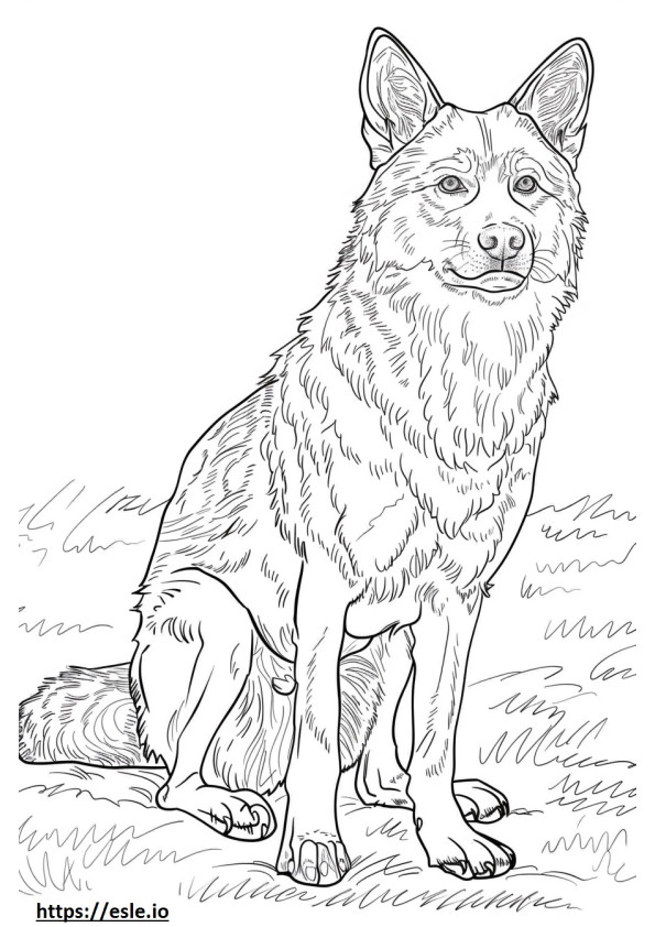 Tsjechoslowaakse Wolfhond, volledig lichaam kleurplaat