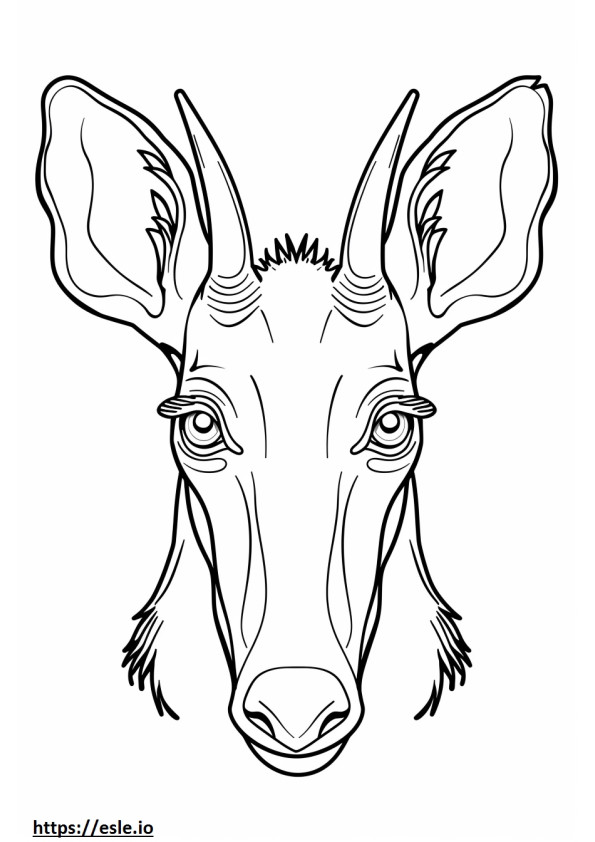 Aardvark face coloring page