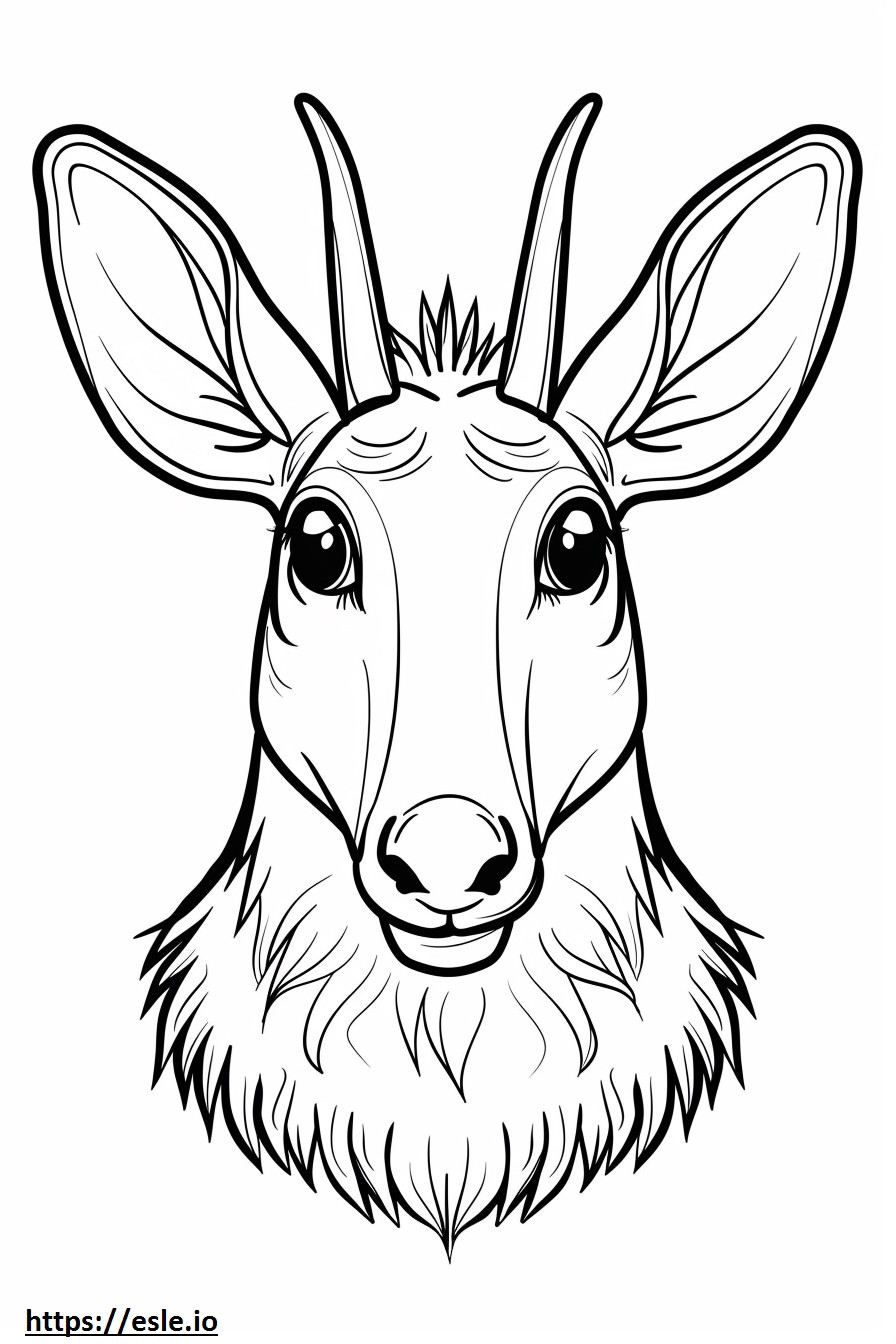Aardvark face coloring page
