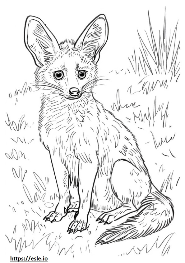 Aardwolf vauva värityskuva