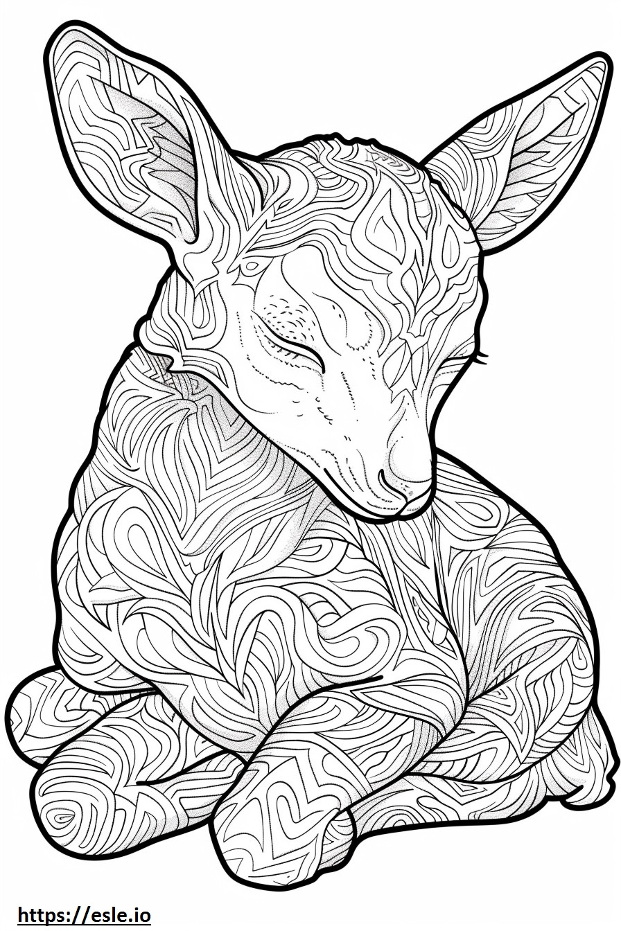 Abyssinian Sleeping coloring page