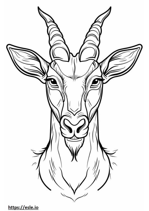 Addax face coloring page