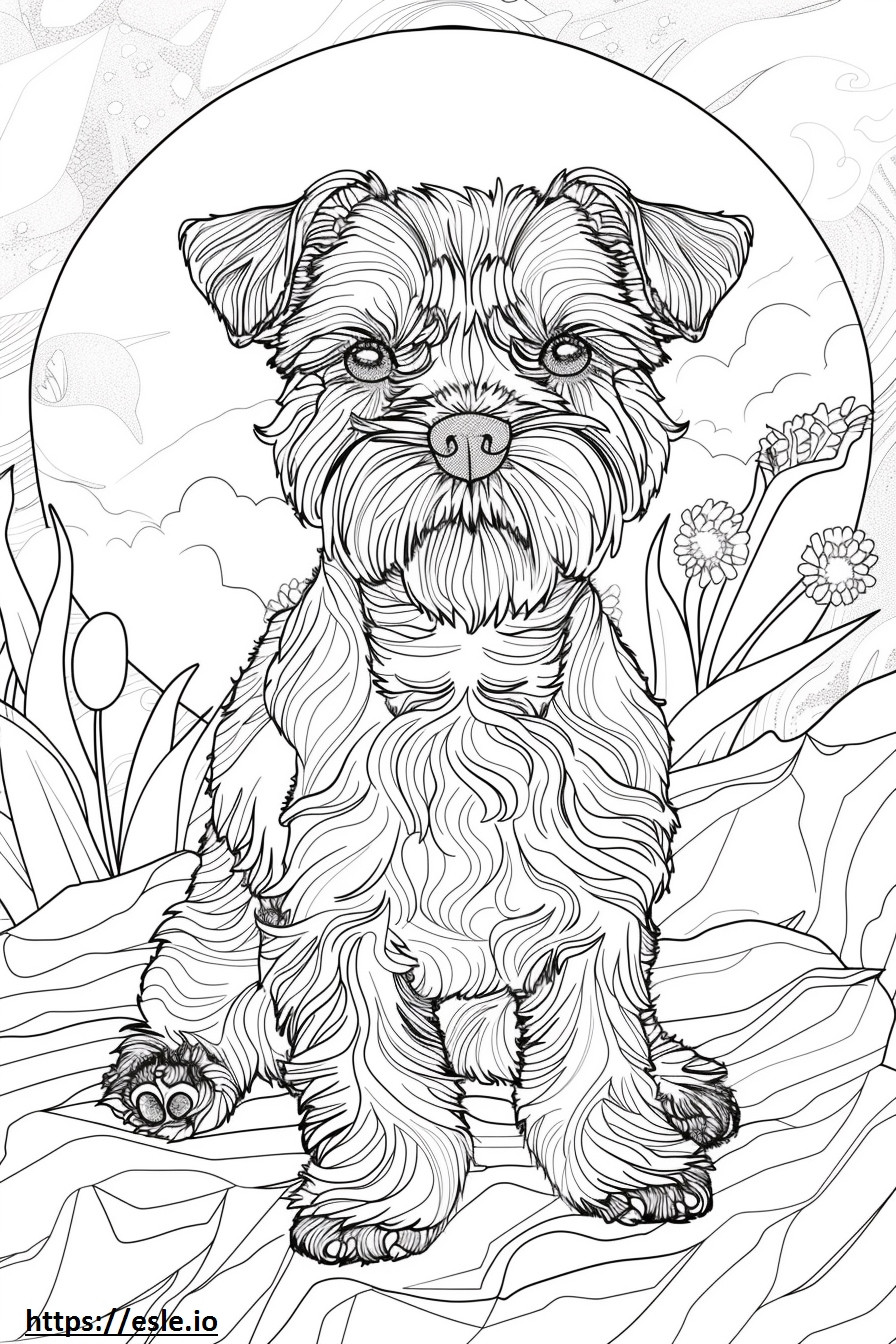 Affenpinscher Friendly coloring page