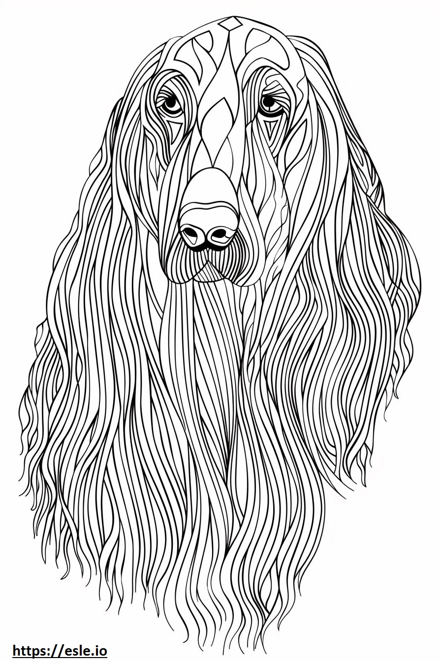 Afghan Hound face coloring page