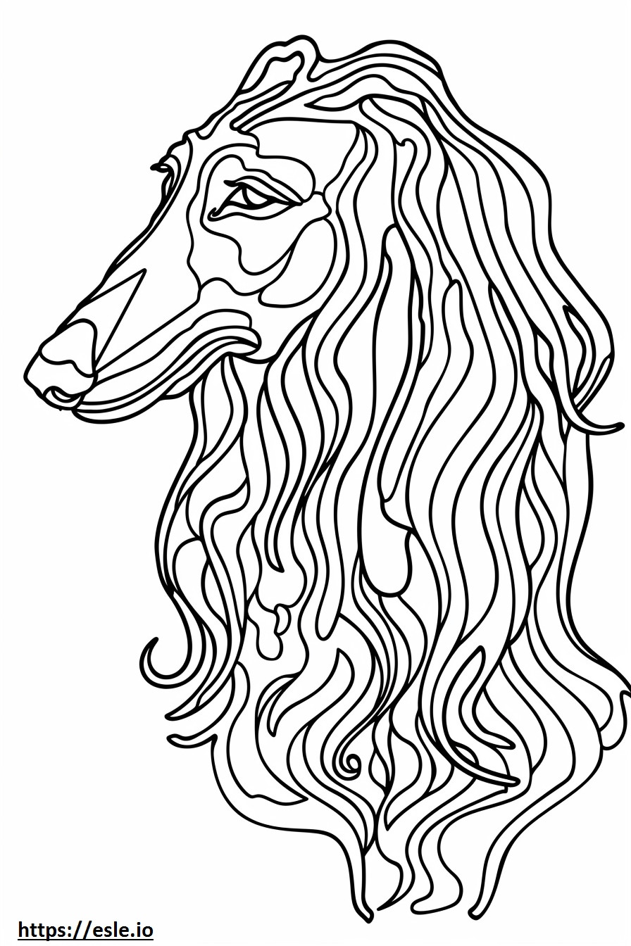 Afghan Hound face coloring page