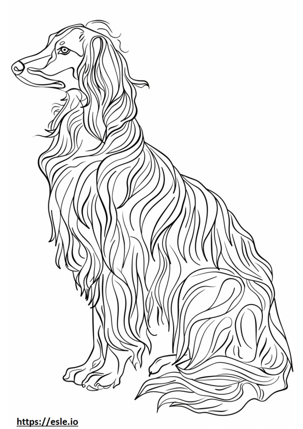 Ganzkörper-Afghanischer Windhund ausmalbild