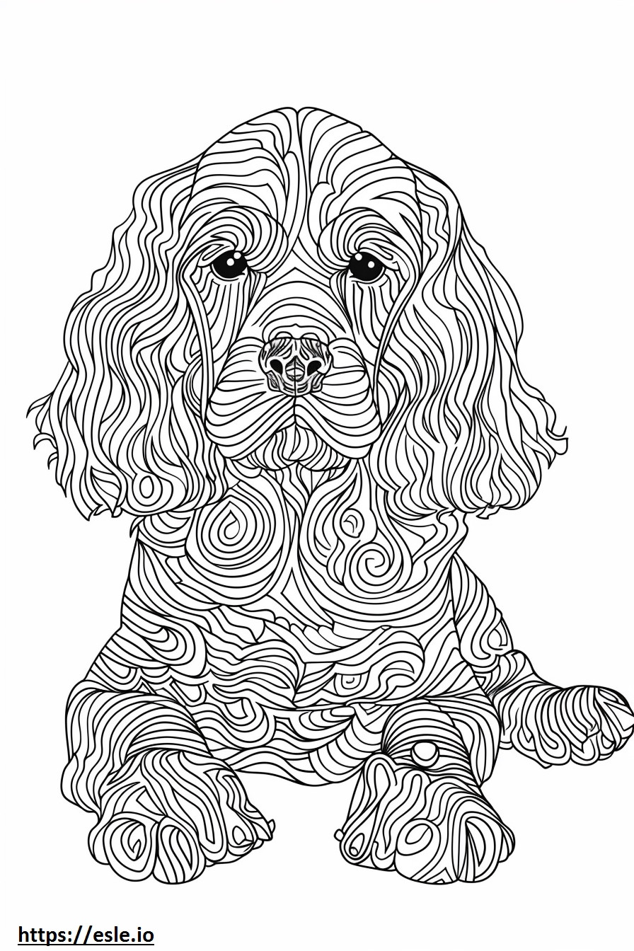 Afghan Hound baby coloring page