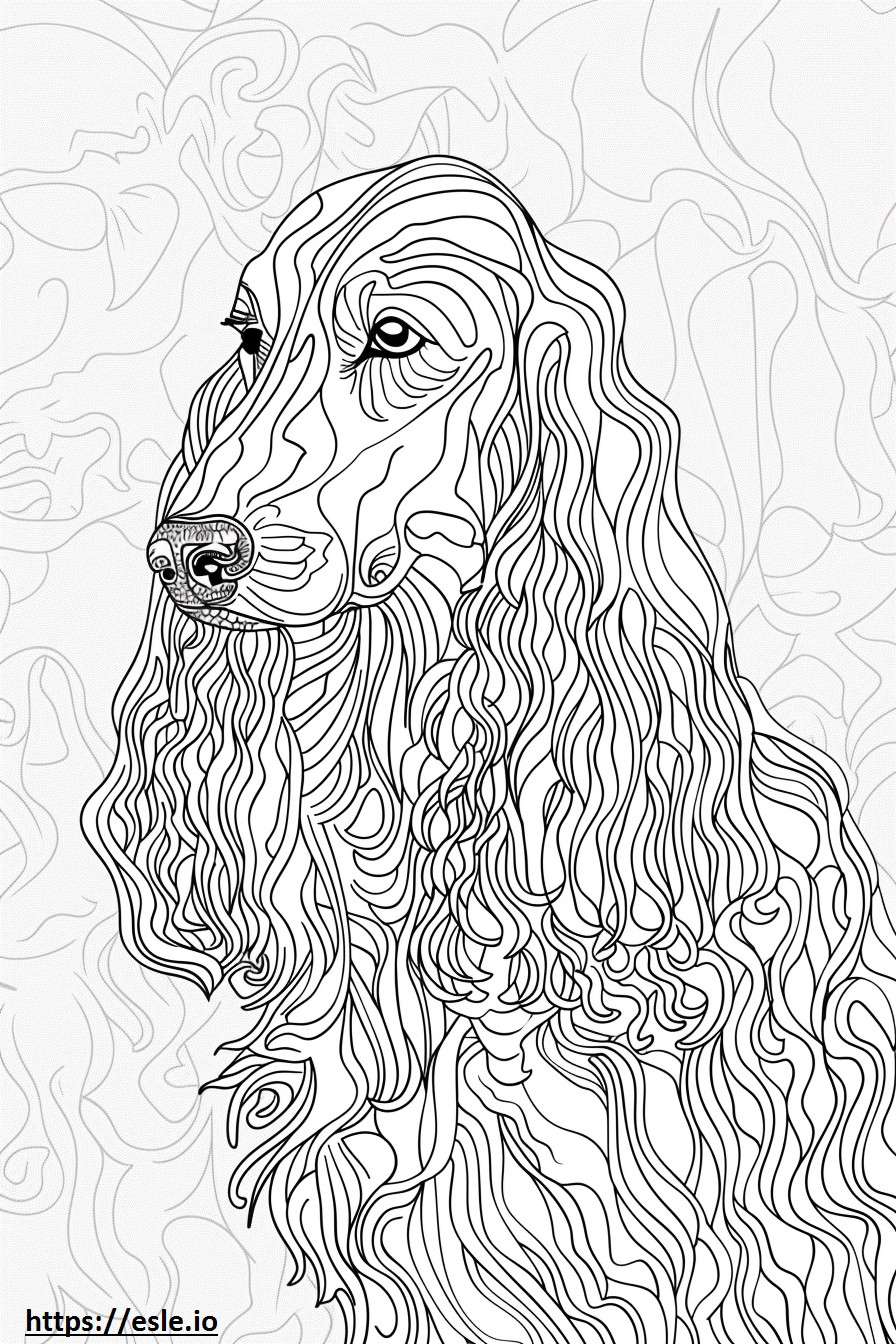 Afghan Hound cute coloring page