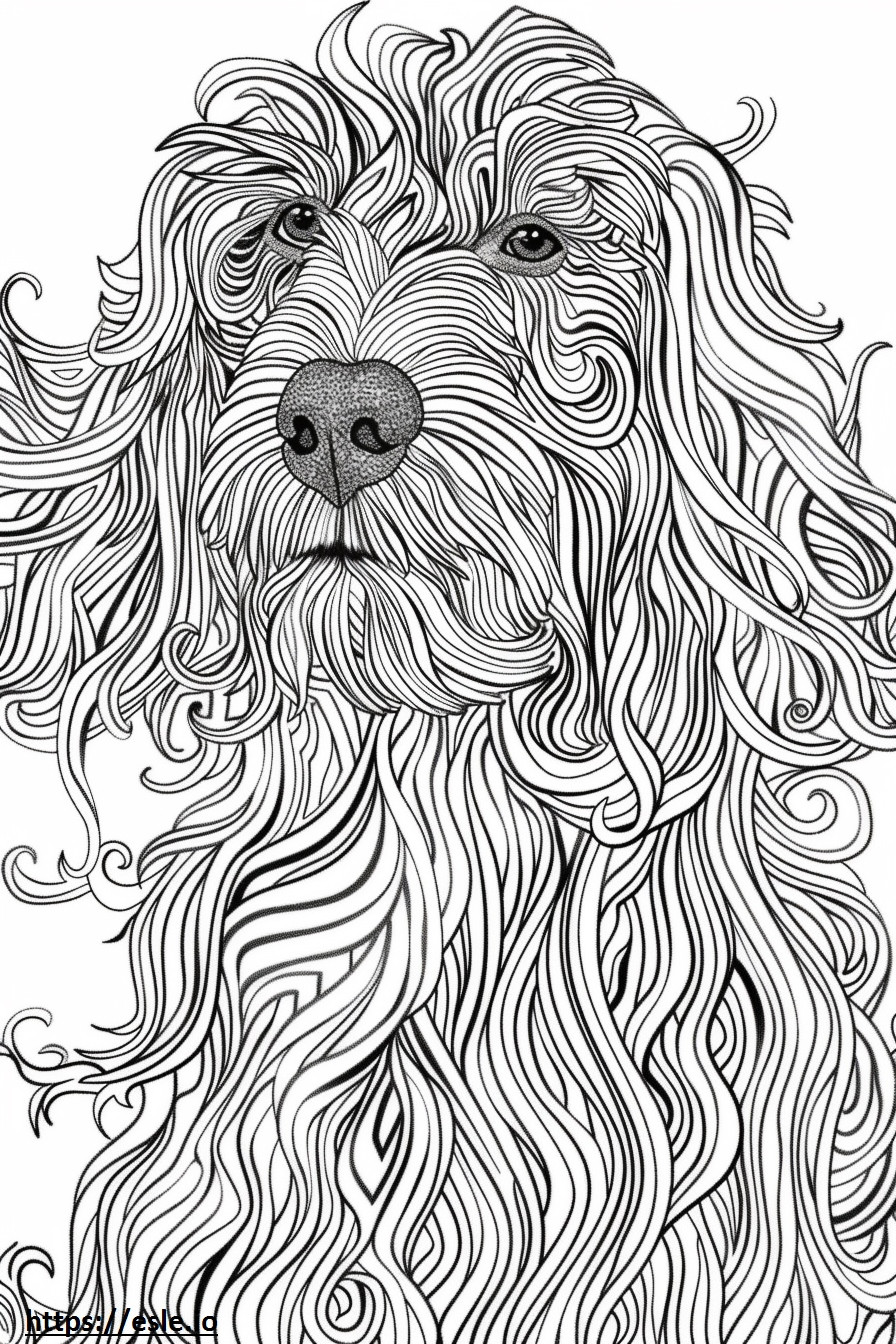 Afghan Hound happy coloring page