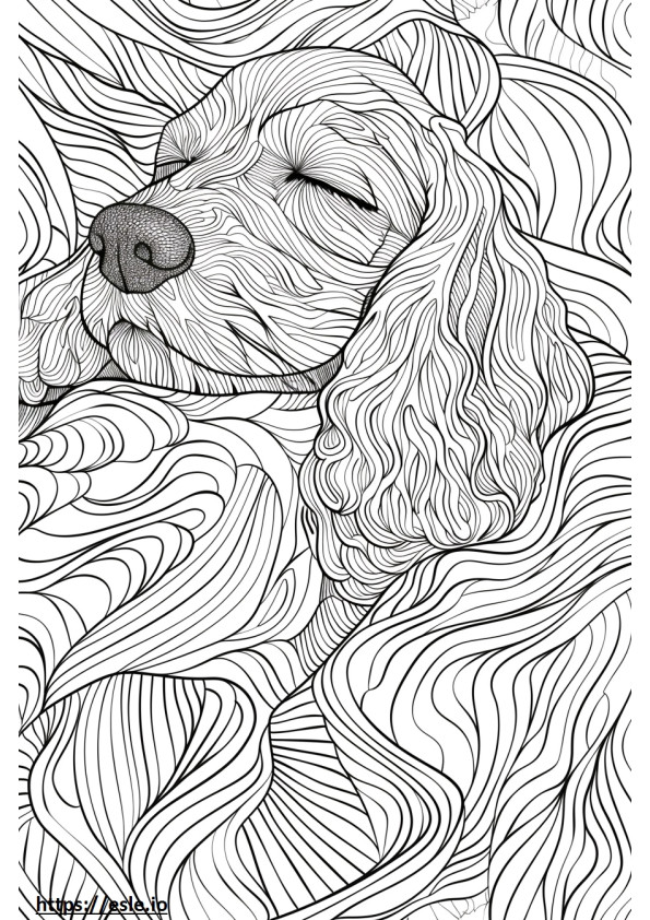 Afghan Hound Sleeping coloring page