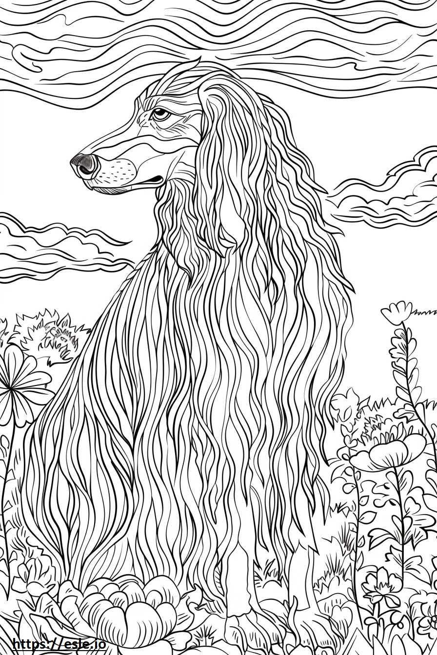 Afghan Hound Playing coloring page