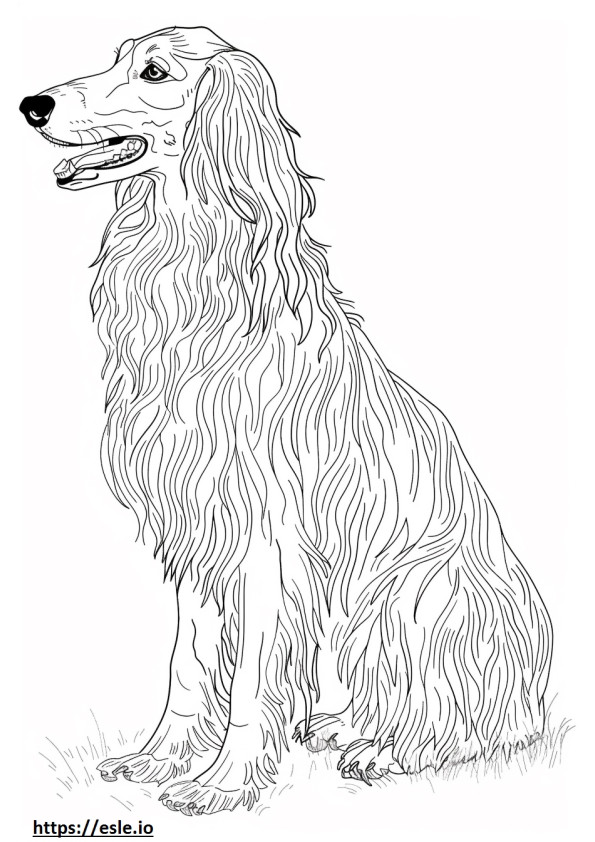 Afghanischer Windhund Kawaii ausmalbild