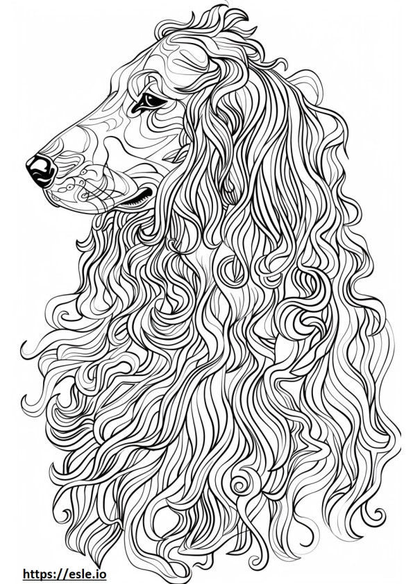 Afghan Hound Friendly coloring page