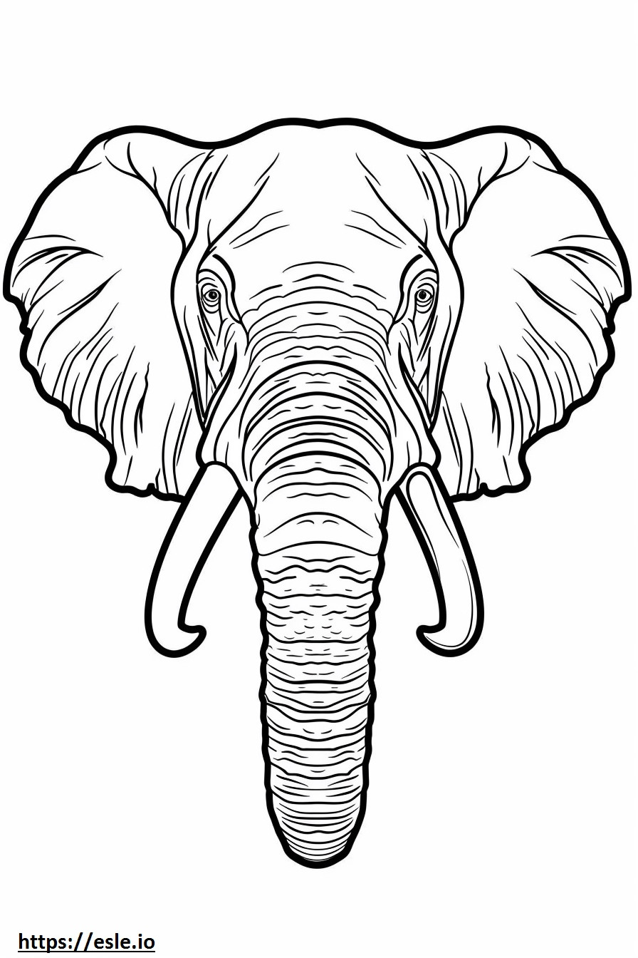 Fața elefantului african de Bush de colorat
