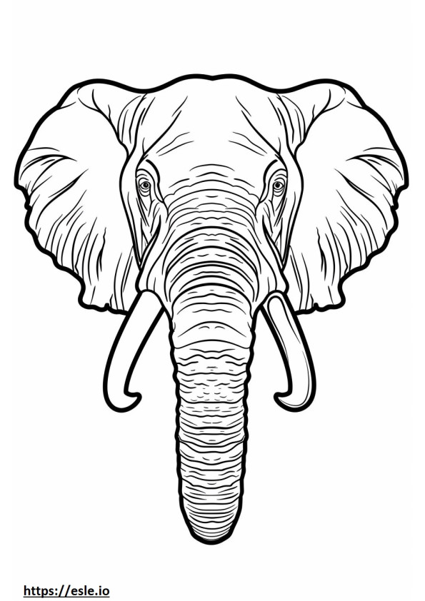 Gesicht eines afrikanischen Buschelefanten ausmalbild