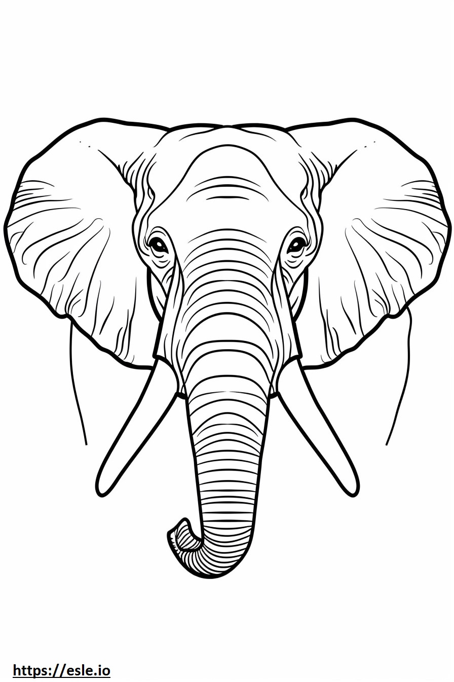 Fronte dell'elefante africano di Bush da colorare