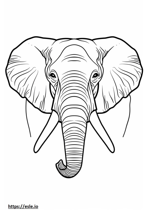 African Bush Elephant kasvot värityskuva
