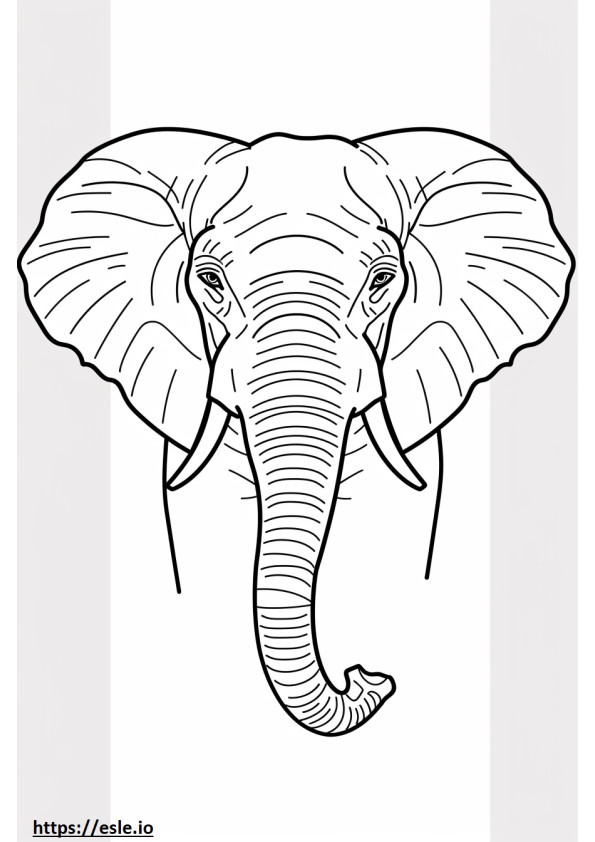 Gesicht eines afrikanischen Buschelefanten ausmalbild