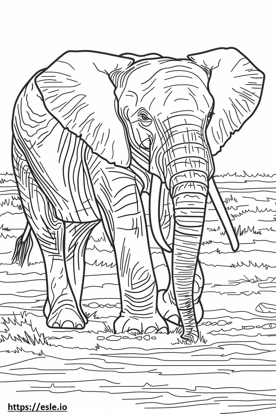 Elefant african de tufiș cu corp întreg de colorat
