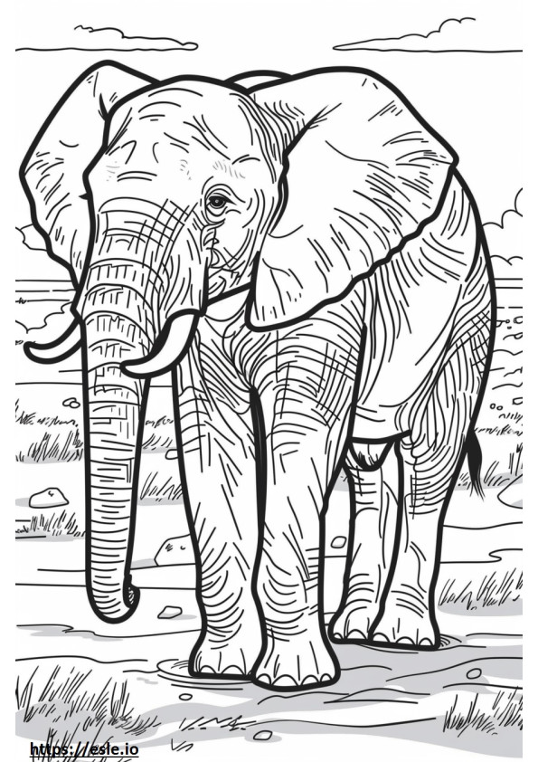 Elefant african de tufiș cu corp întreg de colorat