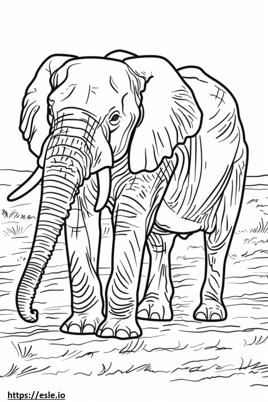 Corpo intero dell'elefante africano di Bush da colorare