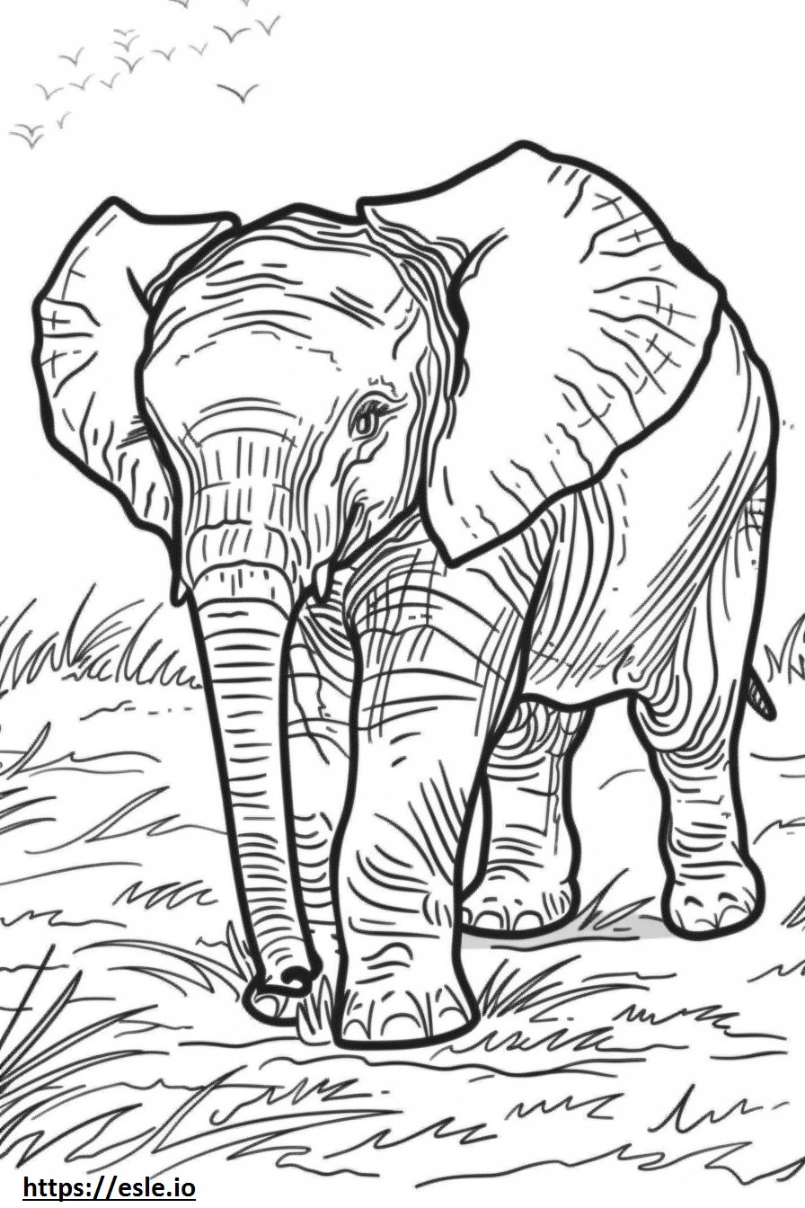 Afrikai bokor elefánt baba szinező