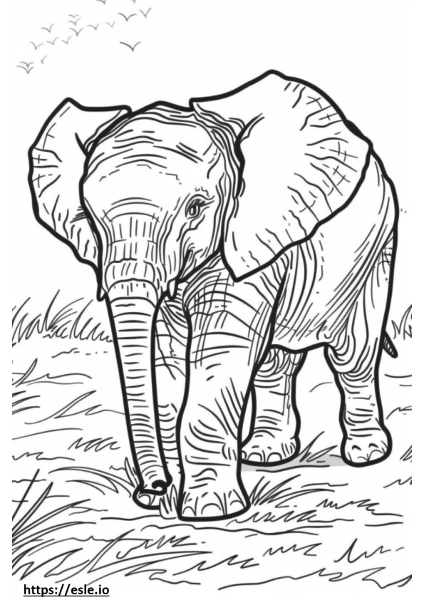 Bebé elefante africano de Bush para colorear e imprimir