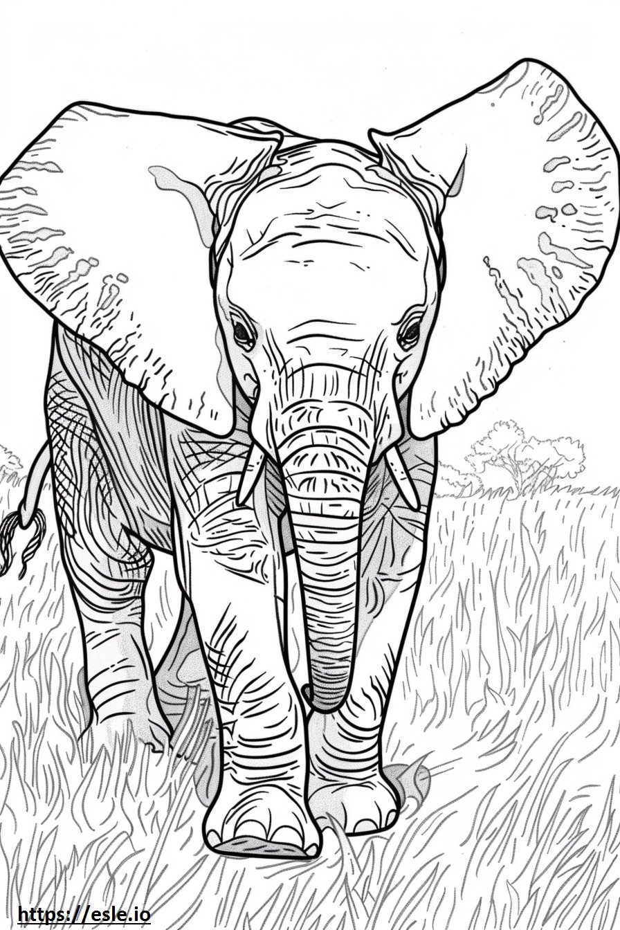 Afrikai bokor elefánt baba szinező