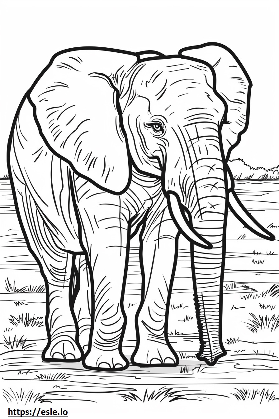 アフリカのブッシュゾウの漫画 ぬりえ - 塗り絵