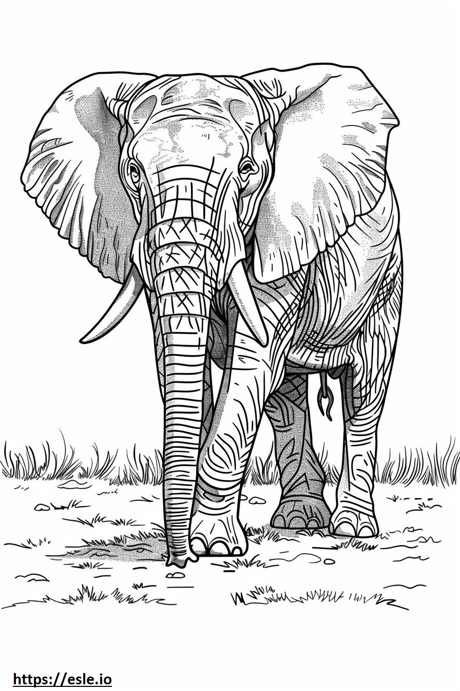 アフリカのブッシュゾウの漫画 ぬりえ - 塗り絵