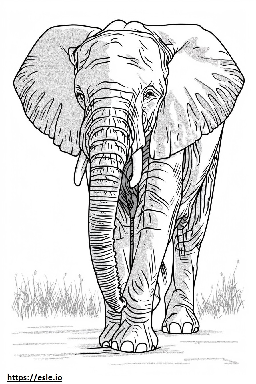 Afrikaanse Bush-olifant cartoon kleurplaat kleurplaat