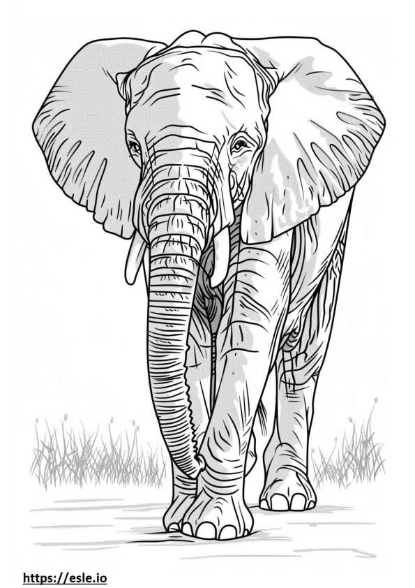 Dibujos animados de elefante africano de Bush para colorear e imprimir