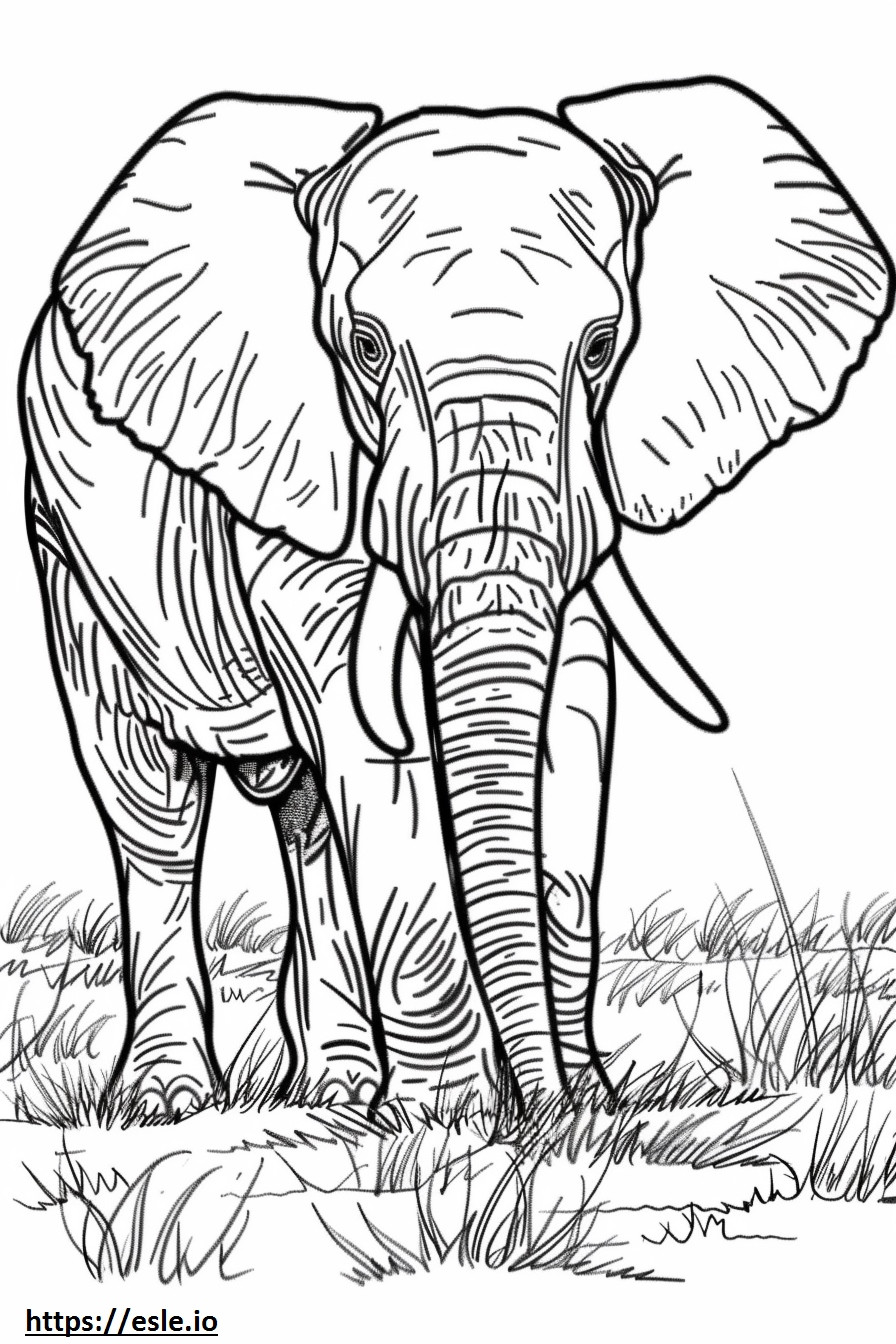 Elefante africano di Bush carino da colorare
