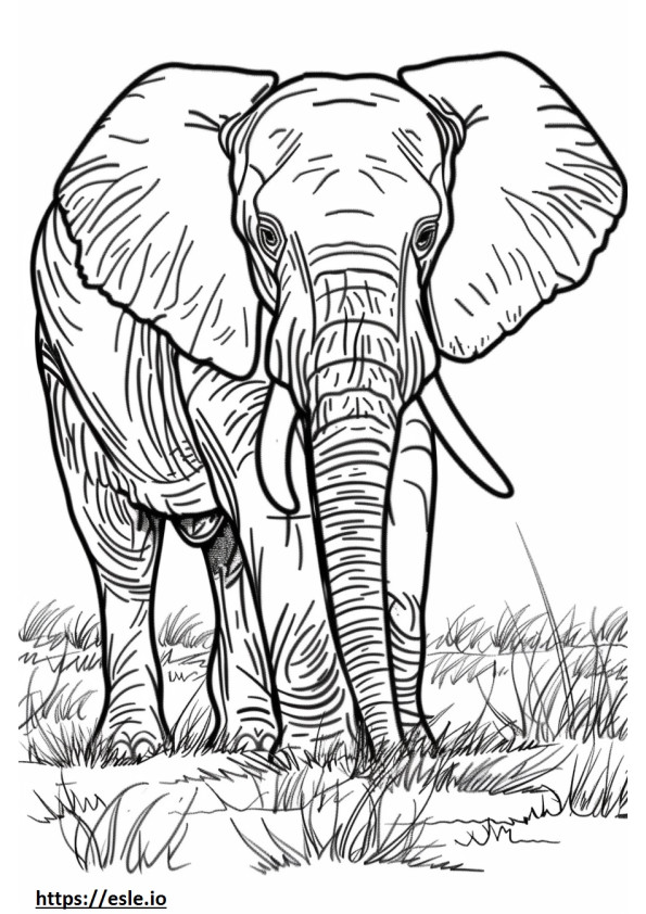 Coloriage Éléphant de brousse africain mignon à imprimer