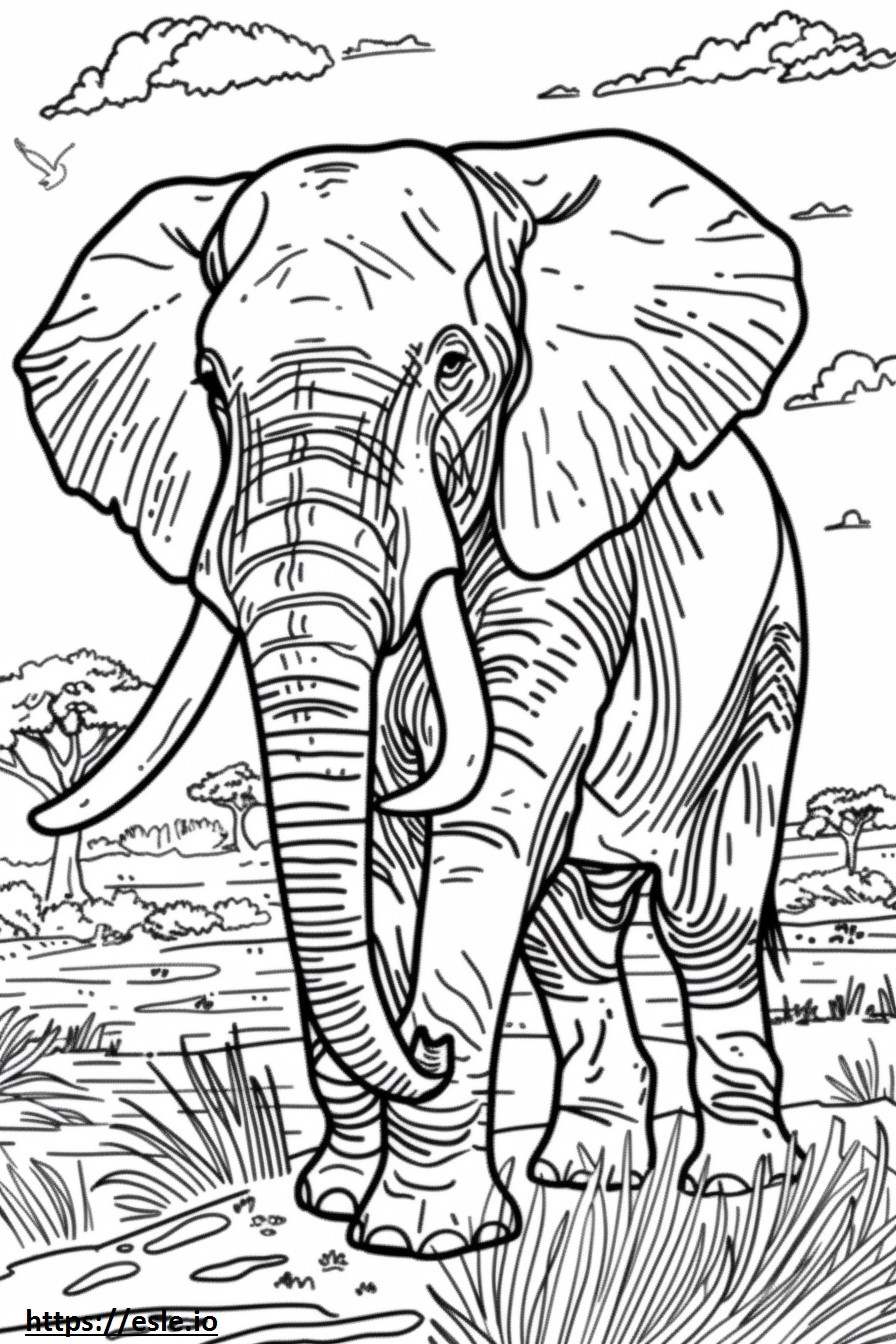 Afrikanischer Buschelefant süß ausmalbild