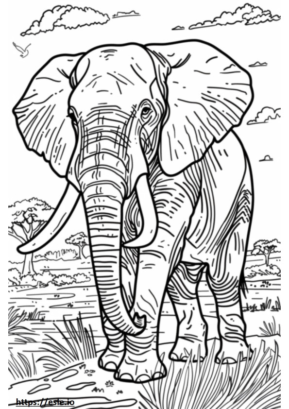 Słoń afrykański, uroczy kolorowanka