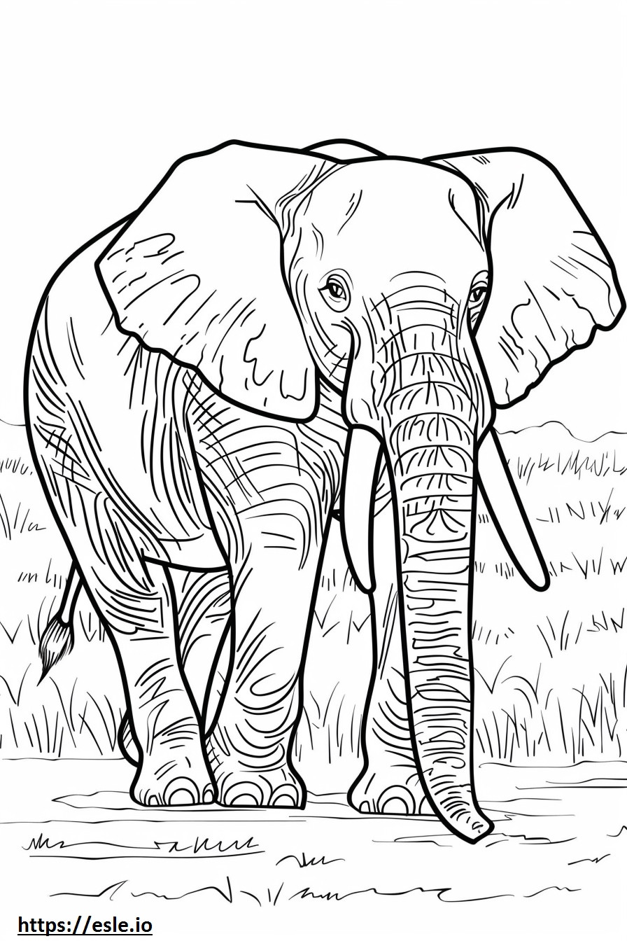 Afrikanischer Buschelefant süß ausmalbild