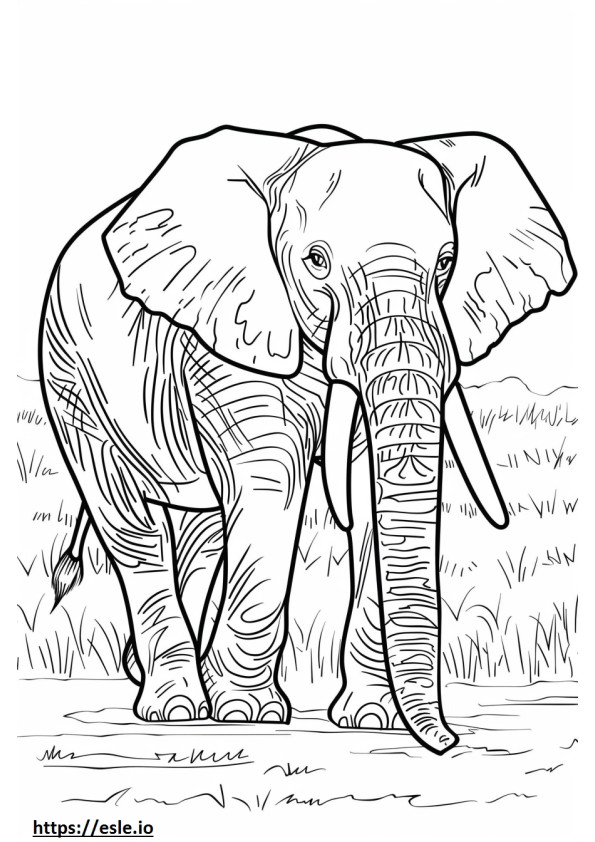 Afrikaanse Bush-olifant schattig kleurplaat
