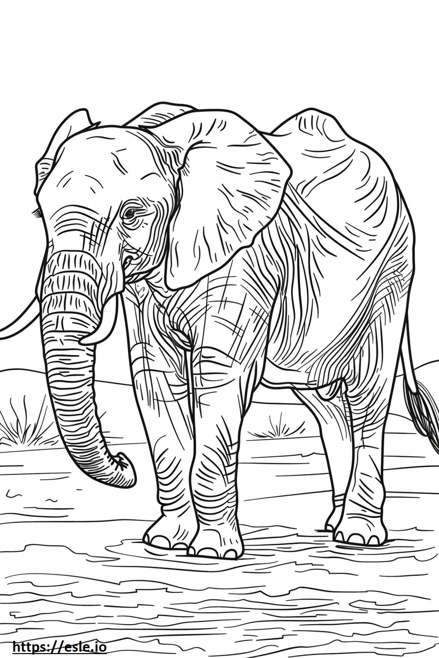Afrikkalainen pensaselefantti söpö värityskuva