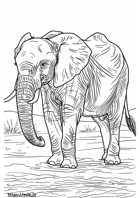 Elefant african de Bush drăguț de colorat