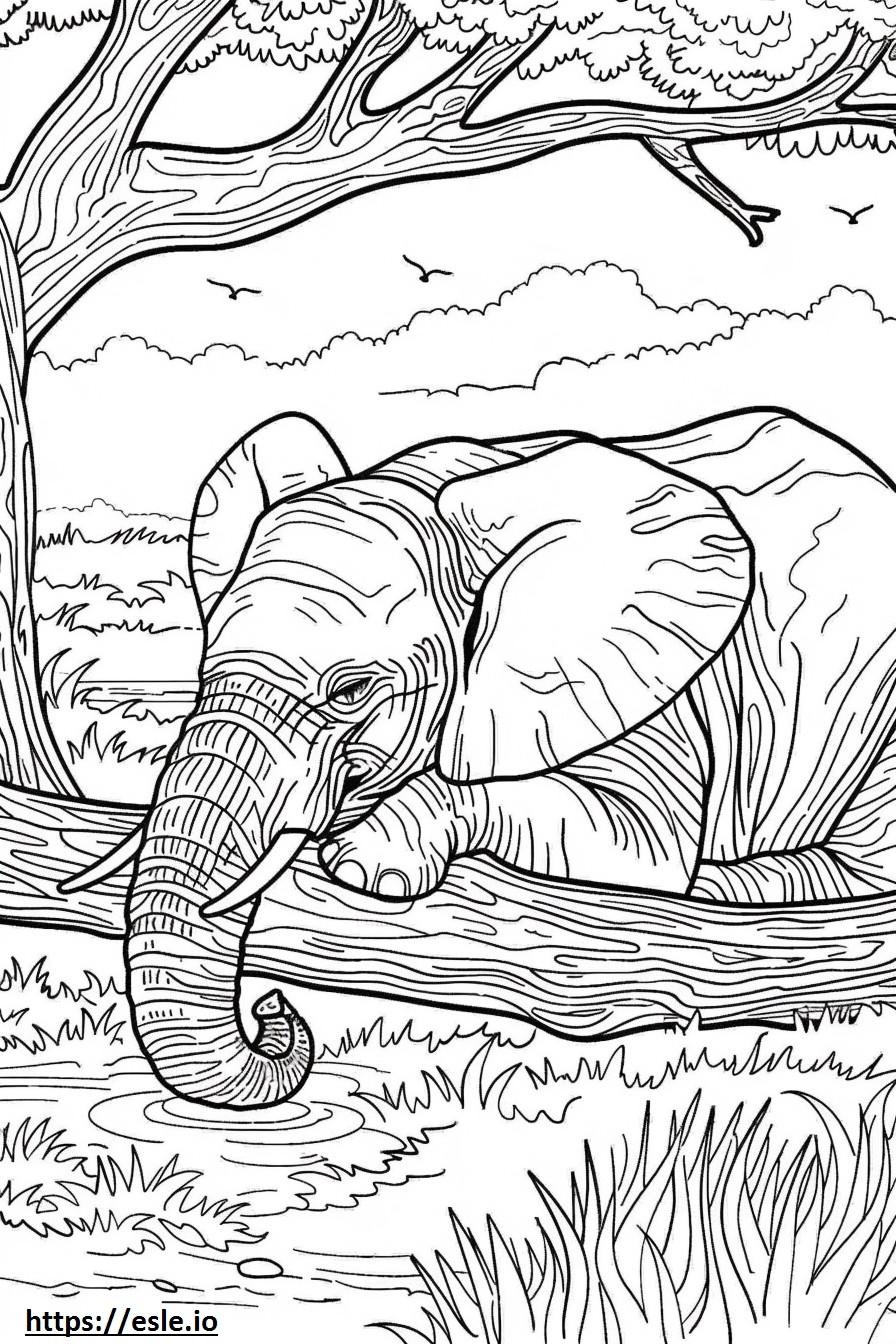 Afrikaanse struikolifant slaapt kleurplaat kleurplaat