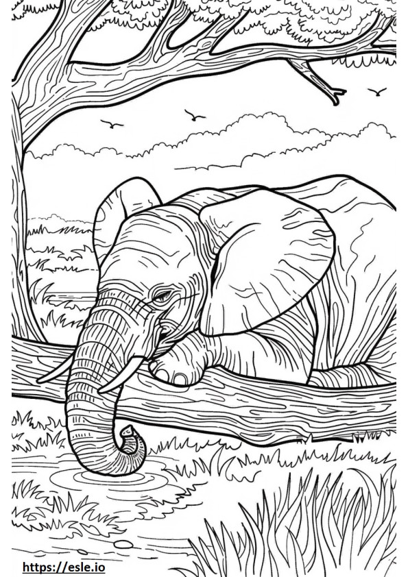 Gajah Semak Afrika Tidur gambar mewarnai