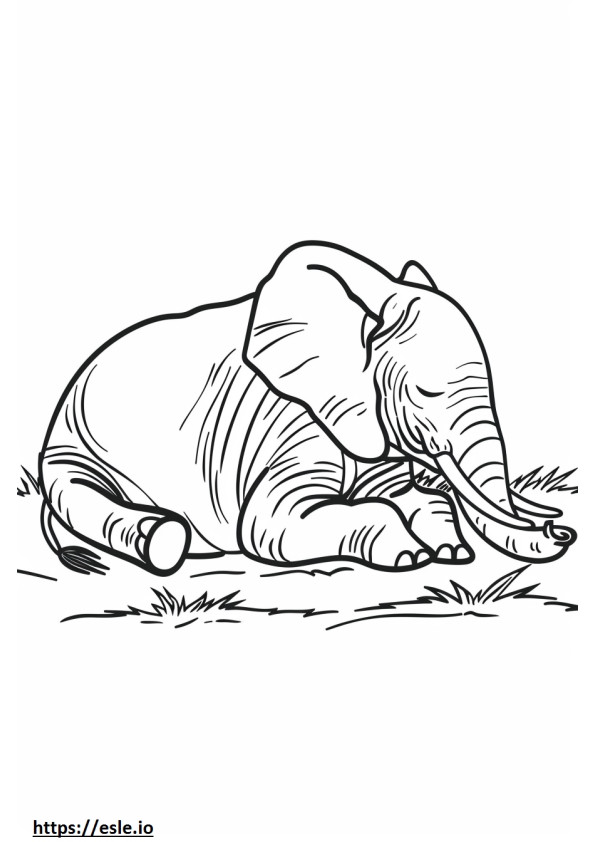 Elefante Africano Bush Durmiendo para colorear e imprimir